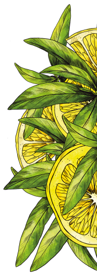 decoration page representant des citrons