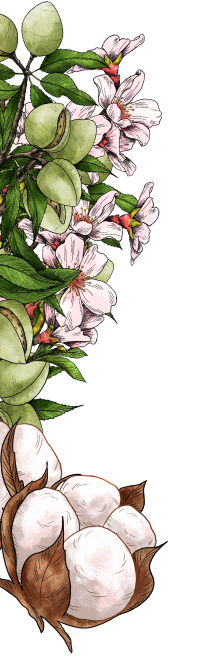 decoration page representant un bouquet de rose